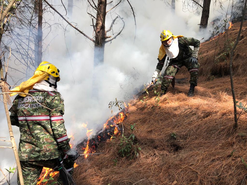 Incendios Forestales En 3 Localidades De Bogotá: Así Está La Situación ...